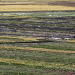 Governo brasileiro destinará até R$70 mi para apoiar produtores de arroz