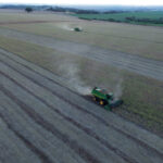 Anec estima exportação de soja do Brasil em 15,86 mi t em março; farelo em 2,24 mi t