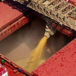 Importações de soja pela China crescem abaixo do esperado em março, em meio a verificações do Brasil Importações de soja pela China crescem abaixo do esperado em março, em meio a verificações do Brasil