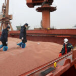 Importação de soja pela China em maio supera expectativa com avanço na oferta do Brasil Importação de soja pela China em maio supera expectativa com avanço na oferta do Brasil