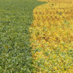 Cosan diz que Radar vendeu 12% do portfólio de áreas agrícolas por R$1,85 bi Cosan diz que Radar vendeu 12% do portfólio de áreas agrícolas por R$1,85 bi