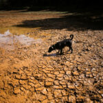 China prevê "super El Niño" mais intenso já registrado China prevê “super El Niño” mais intenso já registrado